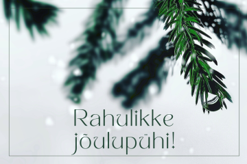 Rahulikke jõulupühi!